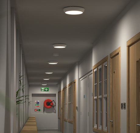 Hall and Corridor Lights