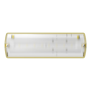 APEX 110V Rectangle Fire Exit Bulkhead Light Fitting | LED 5W 220lm | 6500K Daylight White | IP65 | 3hr Emergency Function