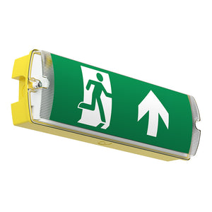 APEX 110V Rectangle Fire Exit Bulkhead Light Fitting | LED 5W 220lm | 6500K Daylight White | IP65 | 3hr Emergency Function