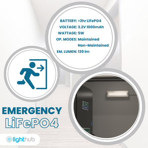 APEX Rectangle Fire Exit Bulkhead Light Fitting | LED 5W 220lm | 6500K Daylight White | IP65 | 3hr Emergency Function